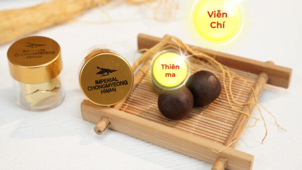 Thảo Dược Thiên Ma Viễn Chí trong An cung ngưu hoàng hoàn hàn quốc (hộp gỗ màu đen 60 viên) cách dùng